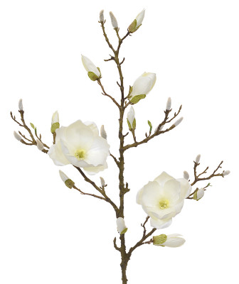 Mākslīgās magnolijas zars (100 cm)