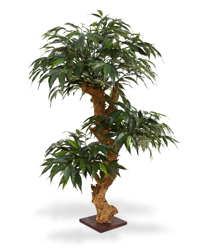 Pianta artificiale Bonsai Shirakashi (80cm)