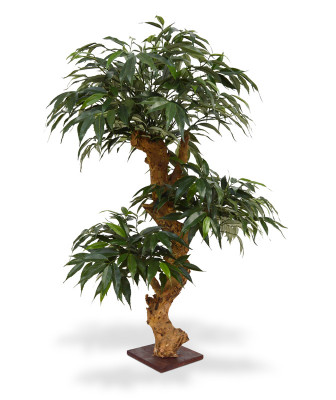 Mākslīgais Shirakashi bonsai x3 80 cm kājām