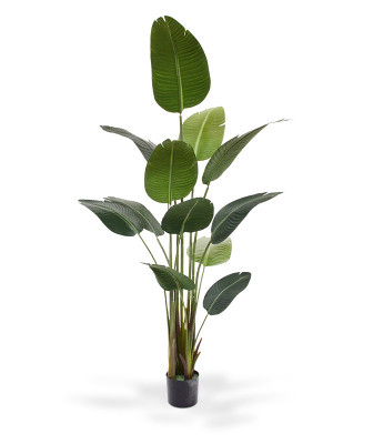 Artificial Strelitzia Nicolai artificial plant 180 cm