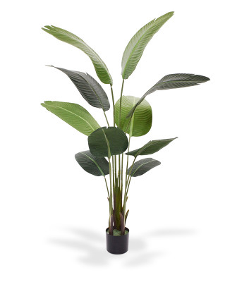 Mākslīgais Strelitzia Nicolai mākslīgais augs 160 cm