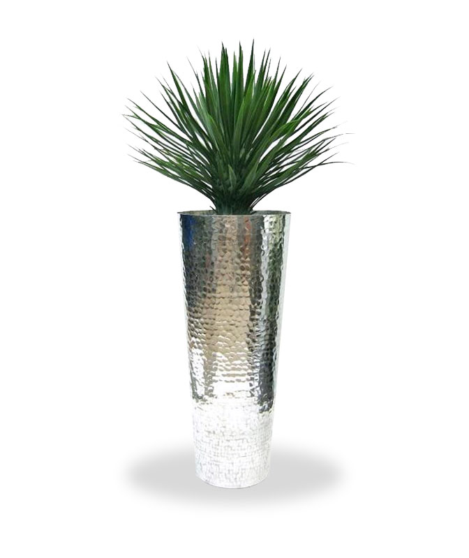 Tekokasvi Jukka (80cm)