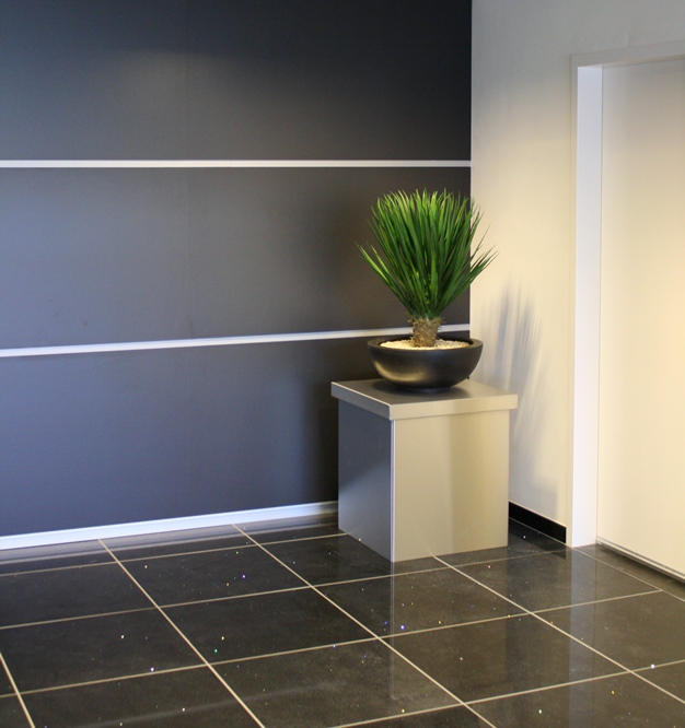 yuka Юкка нитчата Брайт Едж (Yucca filamentosa Bright Edge