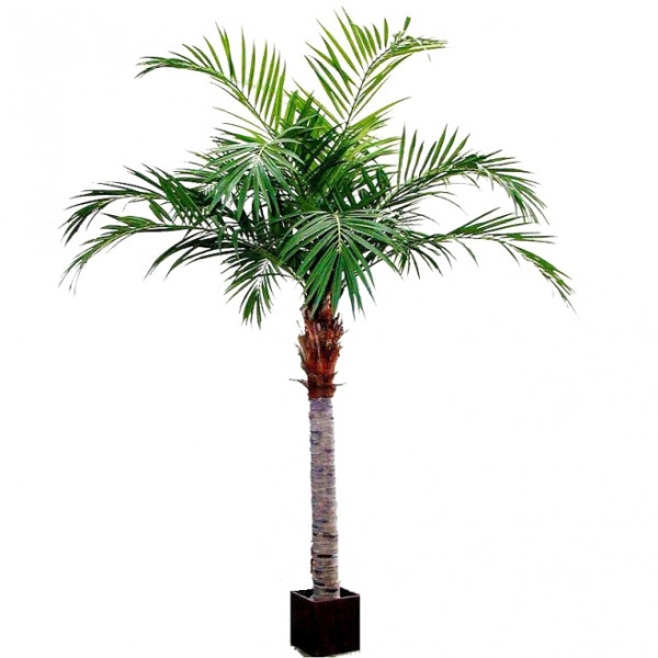 Dirbtinis Palmė 350 cm