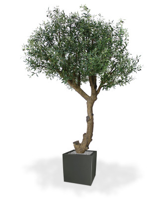 Mākslīgais olīvkoks (275 cm)