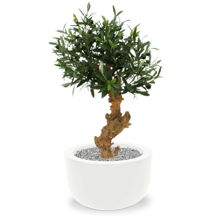 Artificial Olive Bonsai tree (60 cm)