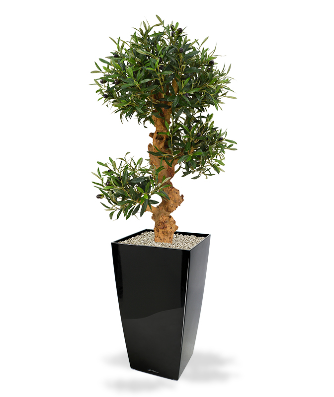 Fake Olive Bonsai tree (90 cm)