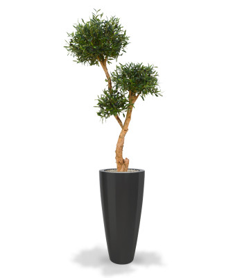 Mākslīgais olīvu bonsai koks Deluxe (160 cm)