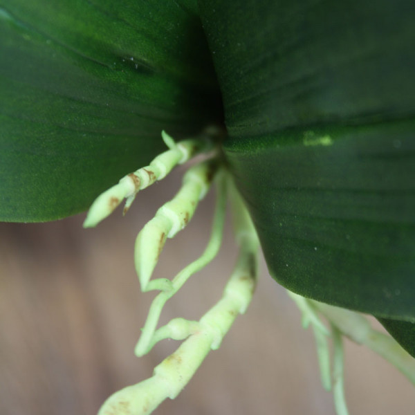 Sztuczny Orchidea bukiet liści x6
