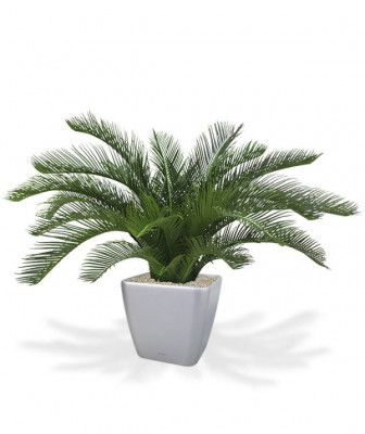 Mākslīgā Cycas palma Deluxe (60 cm) UV