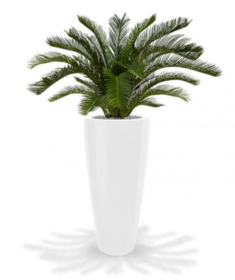 Mākslīgā Cycas palma Deluxe (80 cm) UV
