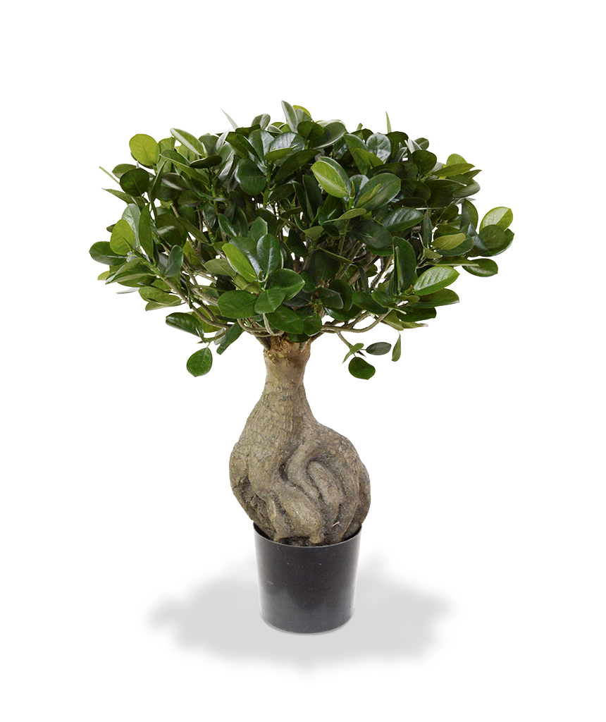 Arbre artificiel Panda Bonsaï (55 cm)