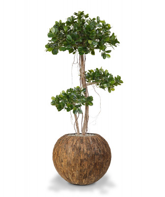 Mākslīgais panda bonsai mākslīgais koks 140