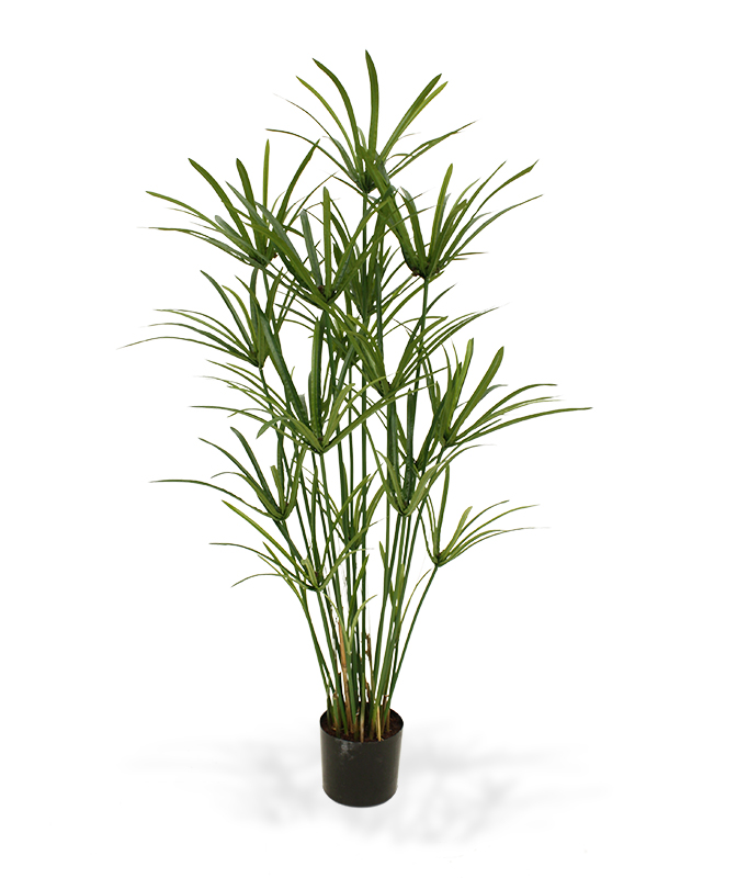 Artificial Papyrus (135 cm) Artificial Papyrus (135 cm)