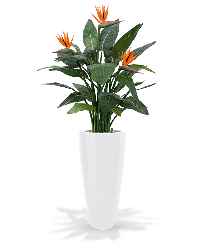 Låtsas Papegojblomma (115 cm)