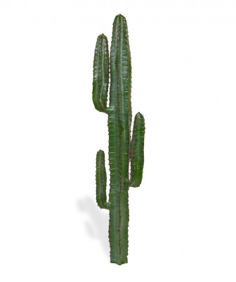 Artificial Euphorbia Cactus 140 cm