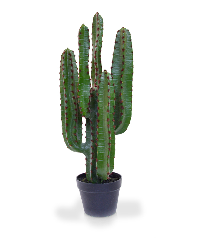 Dirbtinis augalas Euphorbia Kaktusas 70 cm vazone