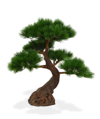 Mākslīgais priedes bonsai koks Deluxe x5 ar pamatni (80 cm)