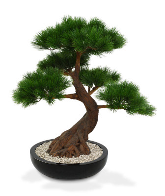 Mākslīgais priedes bonsai koks Deluxe x5 ar pamatni (80 cm)