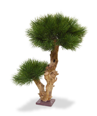 Bonsai Faux Pine artificial 55 cm na base de madeira 