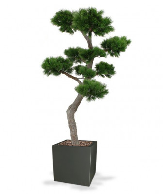 Mākslīgais pinus bonsai koks xl 200 cm UV