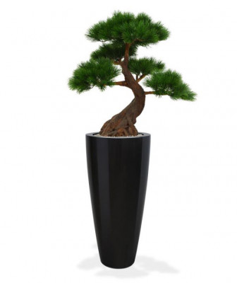 Mākslīgais priedes bonsai koks Deluxe x5 ar pamatni (80 cm) UV