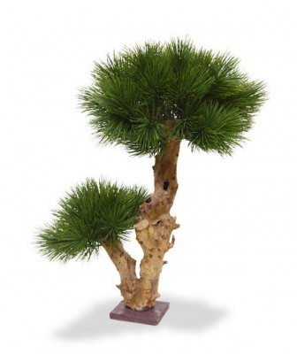 Bonsai Faux Pine artificial 55 cm na base de madeira UV protegida