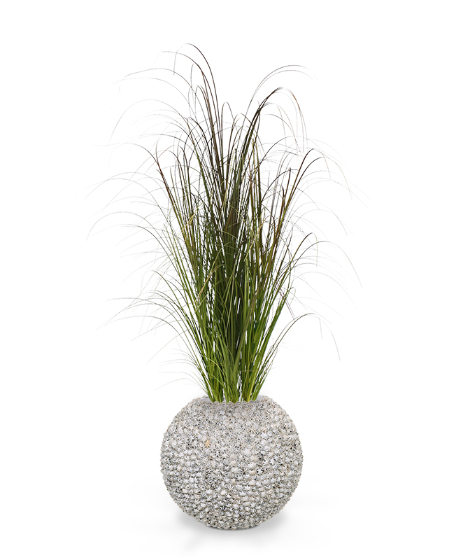 Dirbtinis augalas Paprastoji nendrė 120 cm vazone