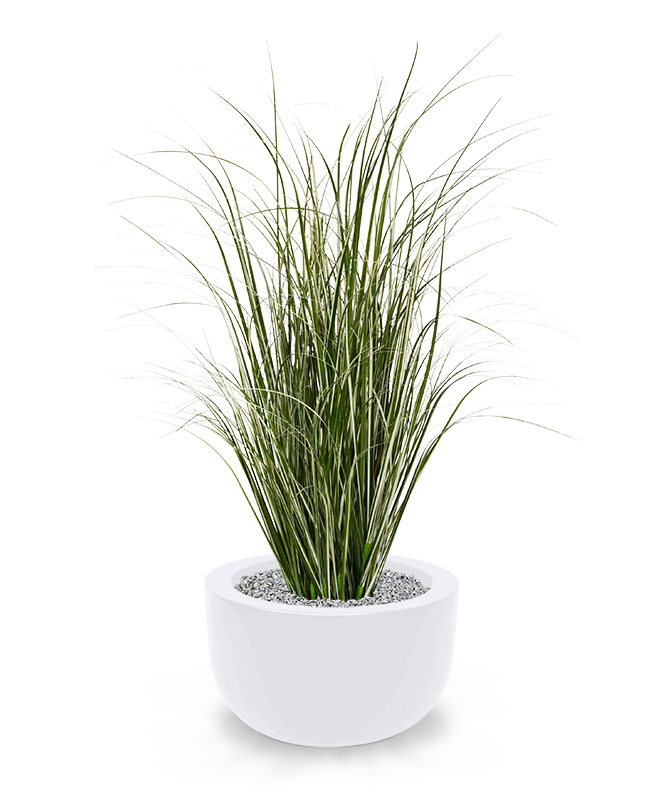 Dirbtinis augalas Paprastosios nendrės 80 cm