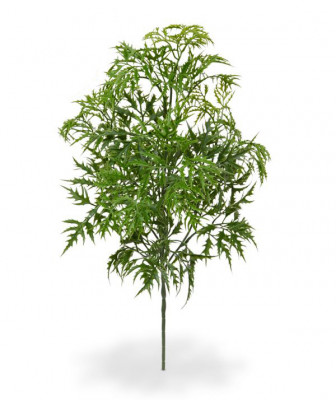 Ming Aralia dalı (50 cm) UV