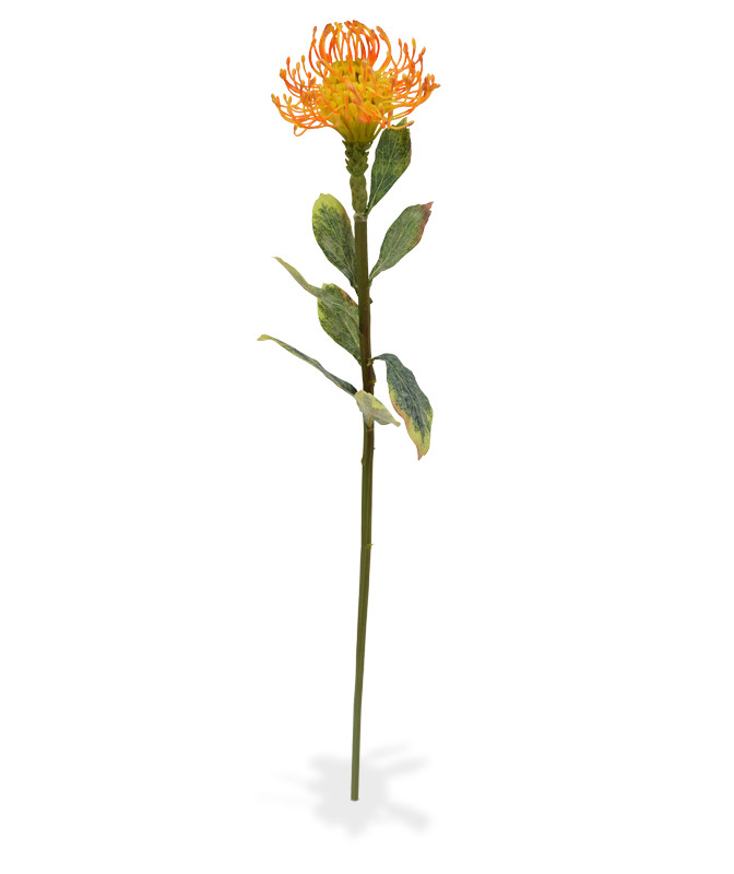 Kunstbloem Leucadendron tak (60 cm)