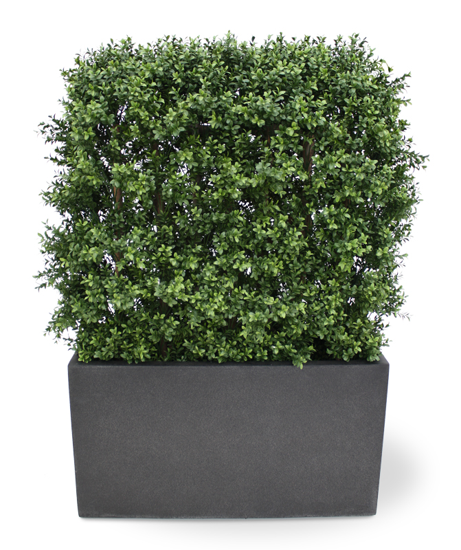 Artificial Boxwood Hedge (80x100 cm)
