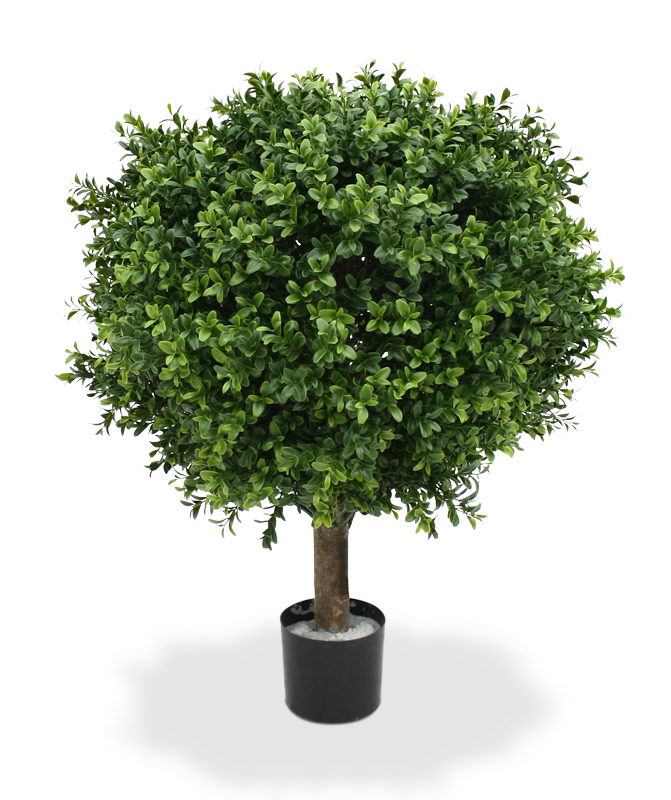 Tekopuu Puksipuu (65 cm)