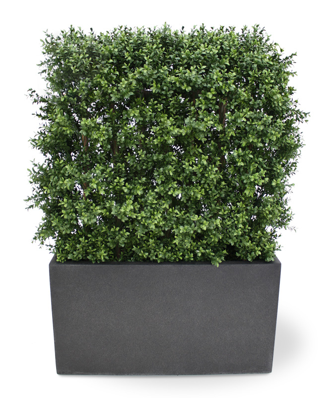 Dirbtinis medis Buksmedis 80x100 cm UV