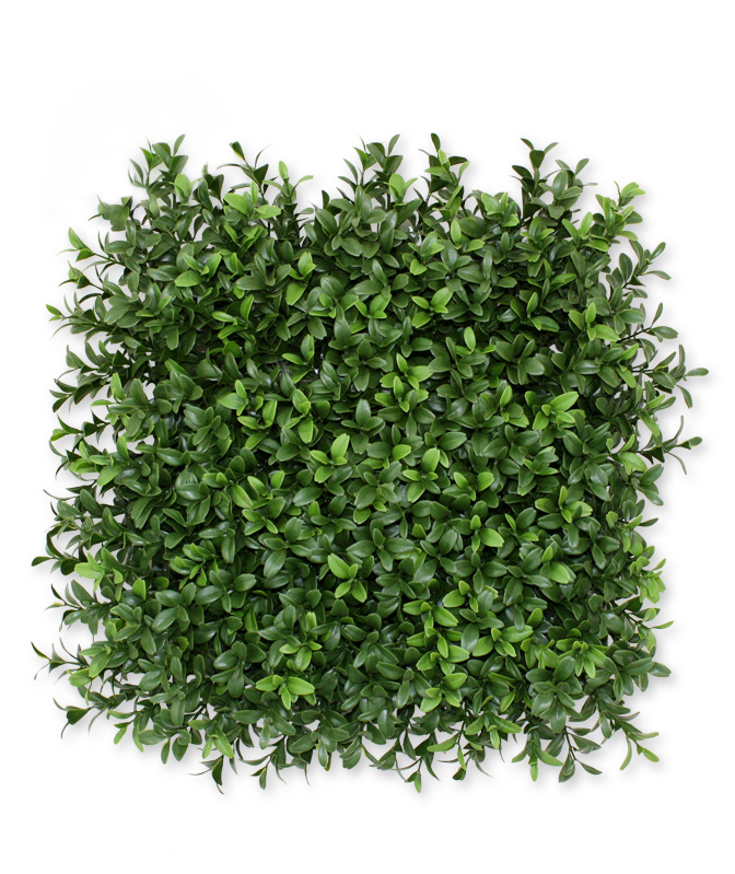 Kunstpuu Pukspuu paneel UV-kaitsega (25x25 cm)