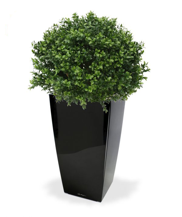 Dirbtinis medis Buksmedis 40 cm UV