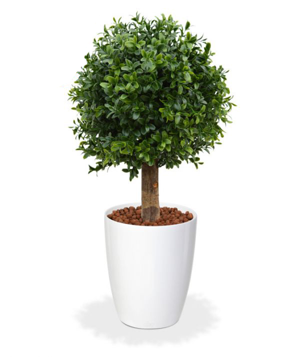 Plastmasas Mākslīgais buksis Deluxe (25 cm) UV