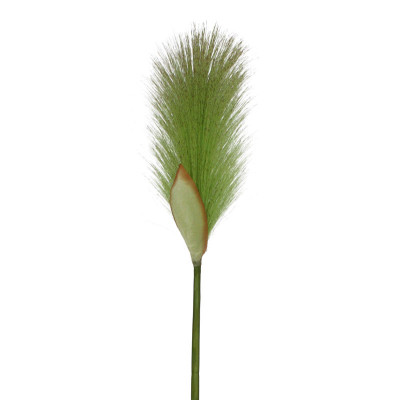 Mākslīgais Foxtail Grass 80 cm zaļš