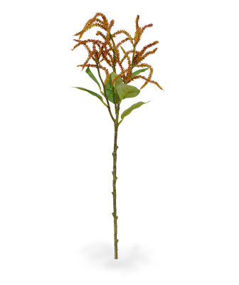 Amarantus gałązka (55 cm)