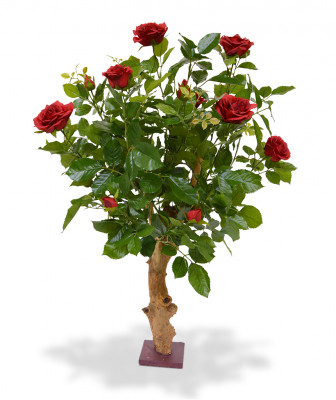 Ruusu (80 cm)