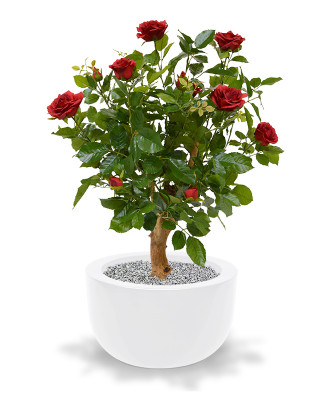 Mākslīgais rožu uz stumbra 75 cm sarkans