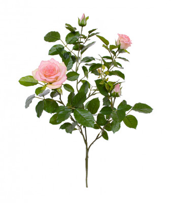 Ruusu (70 cm)