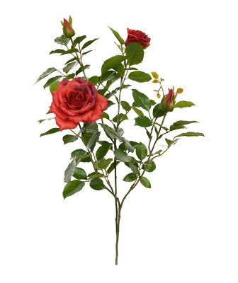 Rožė 70 cm
