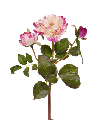 Dirbtinė rožė šaka garbanota 50 cm fuchsia