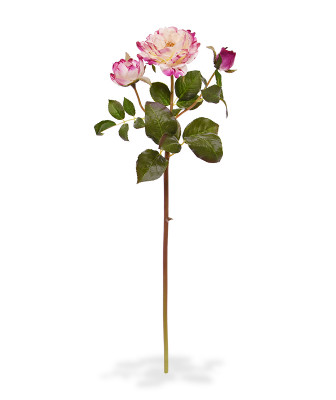Konstgjord Ros kvist (50 cm)