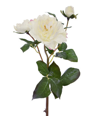 Роза (50 см)