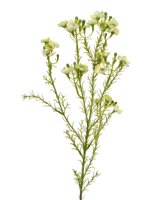 Konstgjord Vaxblomma kvist (65 cm)
