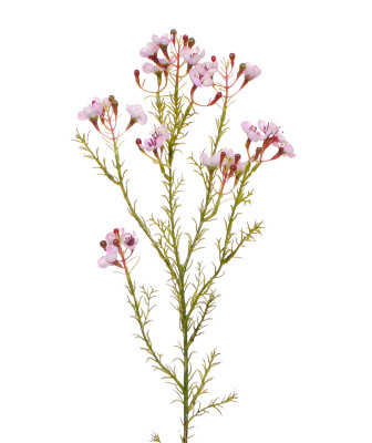Ramo de flor de cera artificial 65 cm rosa 