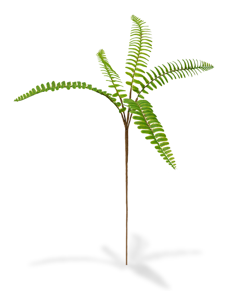 Dirbtinis augalas Papartis 50 cm