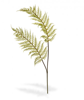 Konstgjord Ormbunke kvist x2 (80 cm)